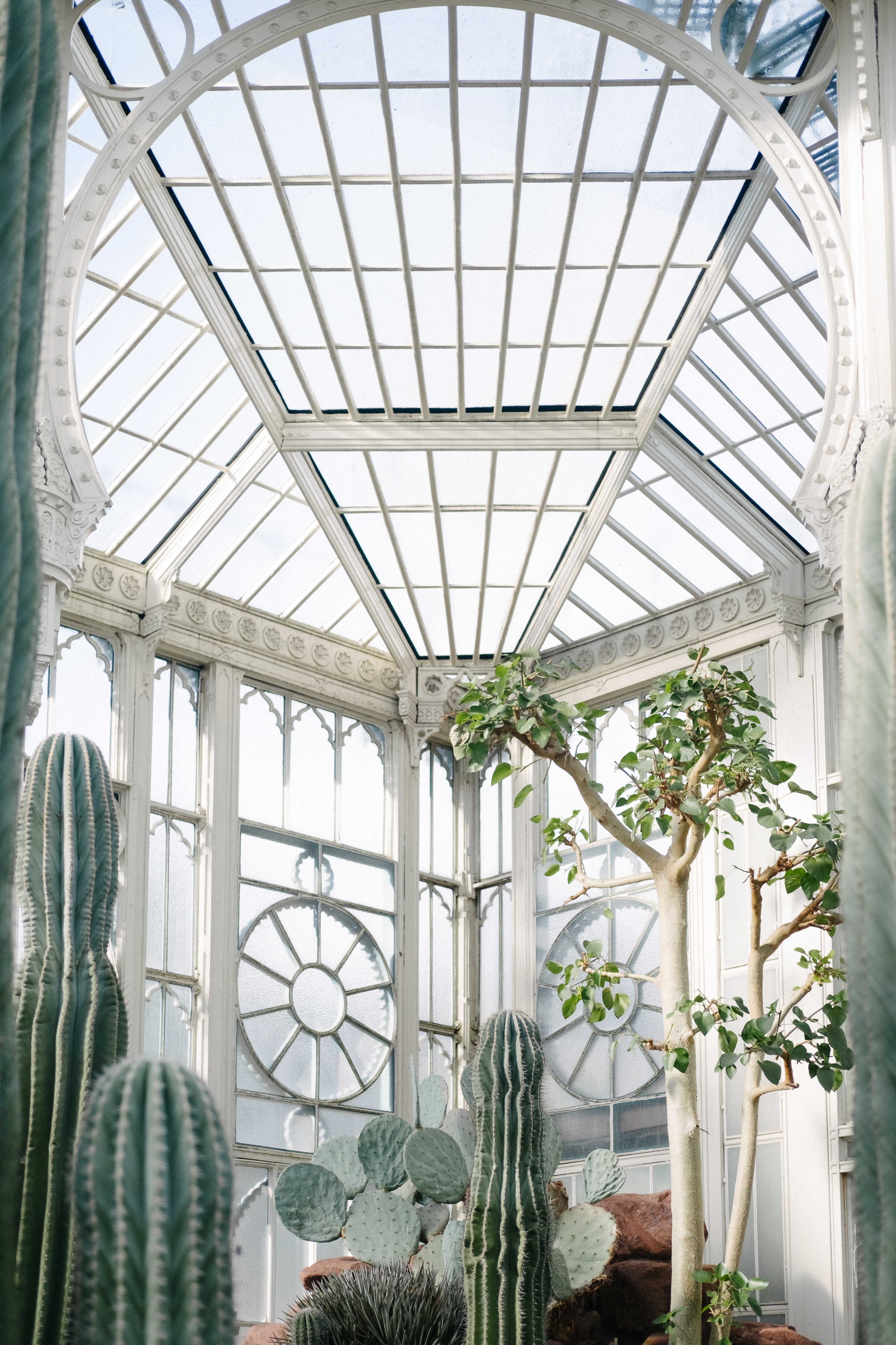 Victorian House Plants UNSPLASH