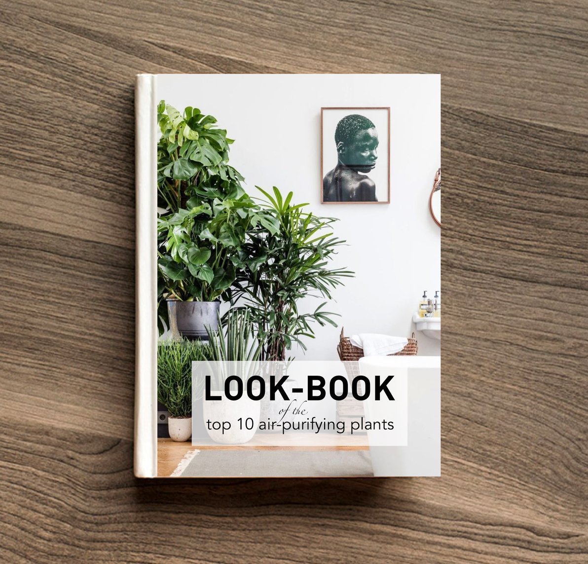 Look-Book cover.jpeg